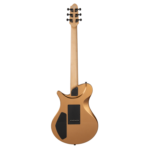 Covenant I-STD 100 gold (3)